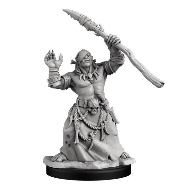 Savage Orc Priest