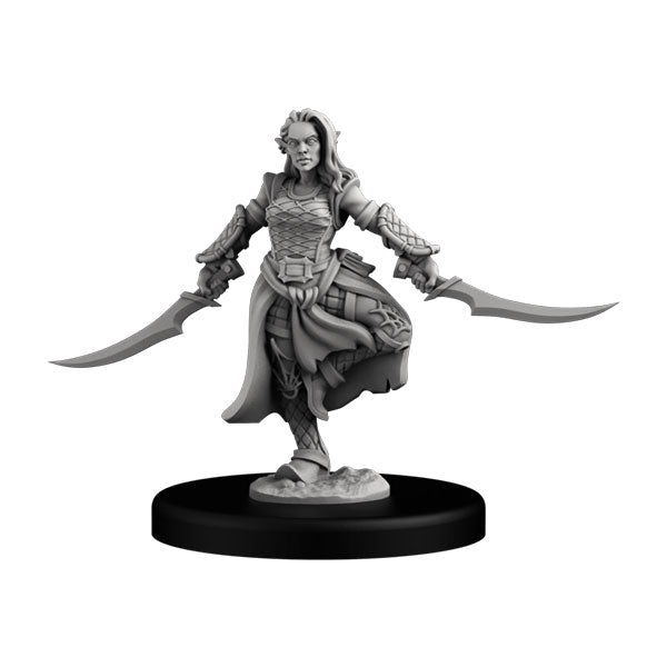 Drow Assassin