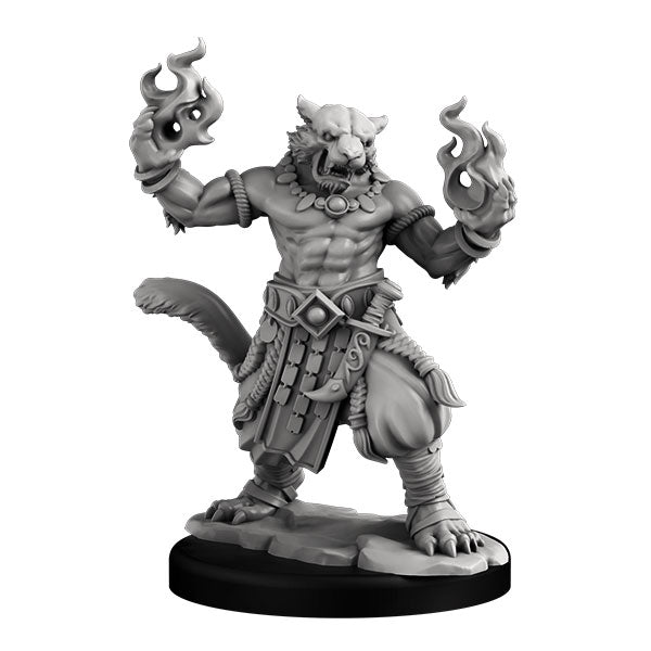 A Swath of Shapechangers