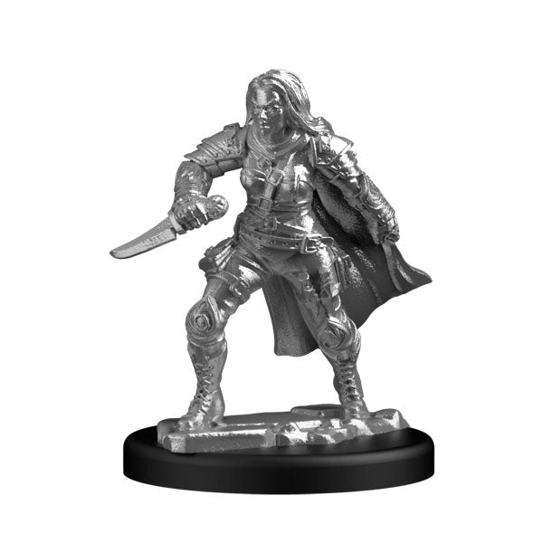 Human Rogue (Metal)