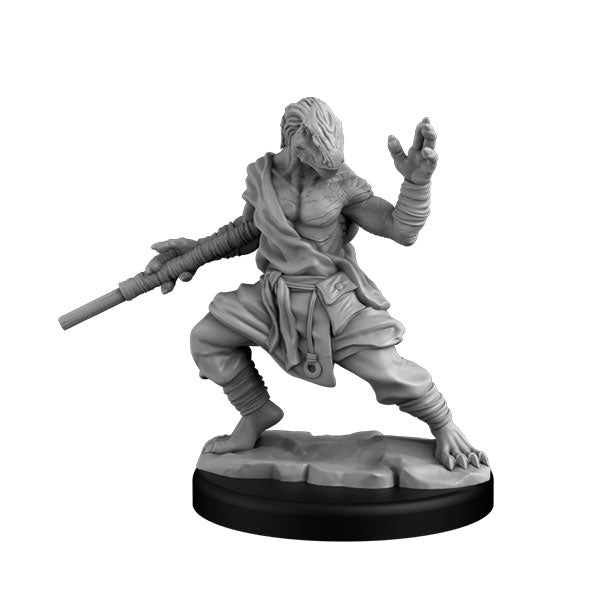 Dragonborn Monk