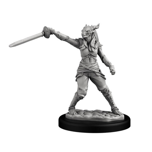 Dragonborn Swashbuckler (Female)