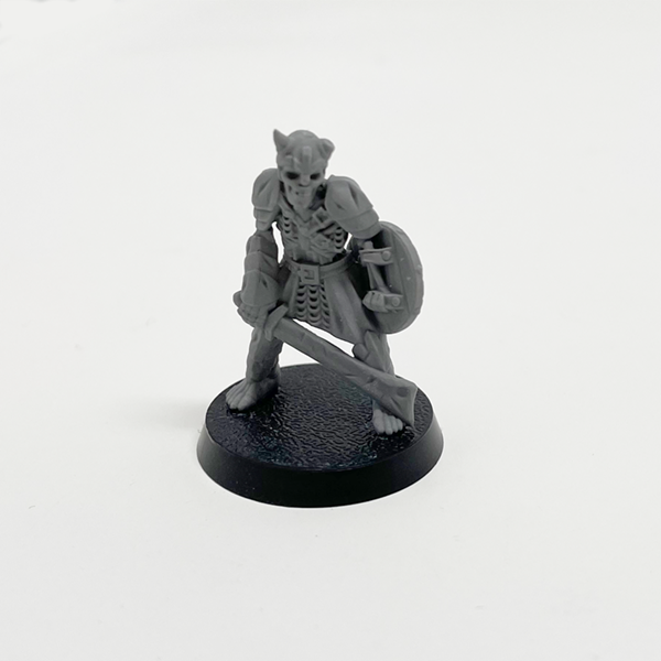 Skeleton Soldier