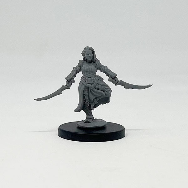 Drow Assassin