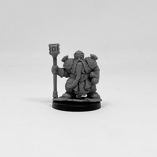 Dwarf Paladin