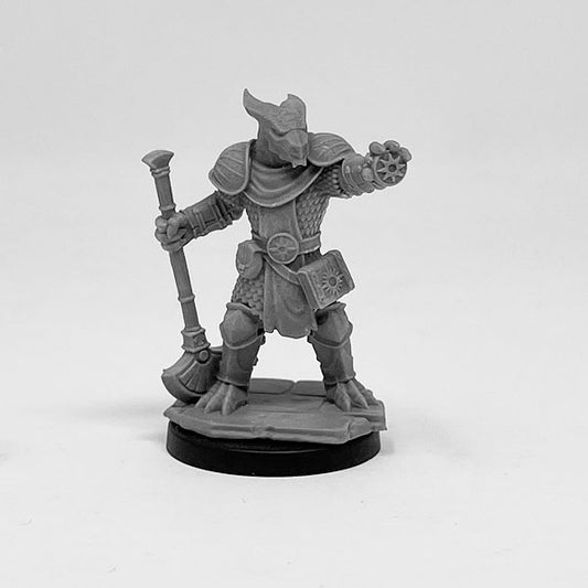 Dragonborn Cleric