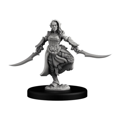 Drow Assassin