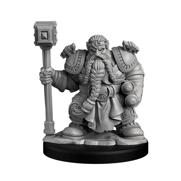 Dwarf Paladin