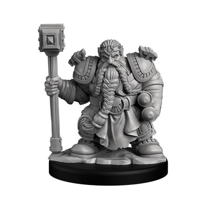 Dwarf Paladin