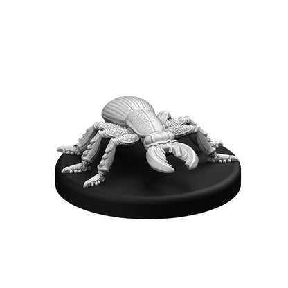 Cave Beetle