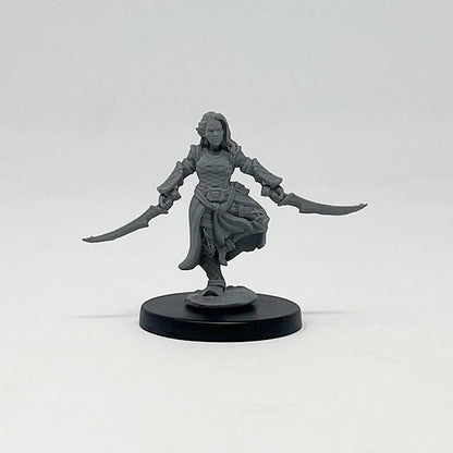 Drow Assassin
