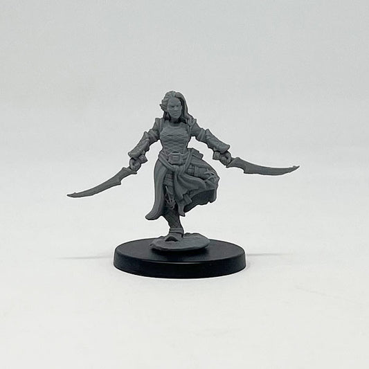 Drow Assassin